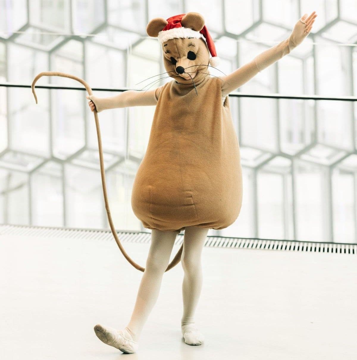 a person dressed in a mouse costume with a santa hat on