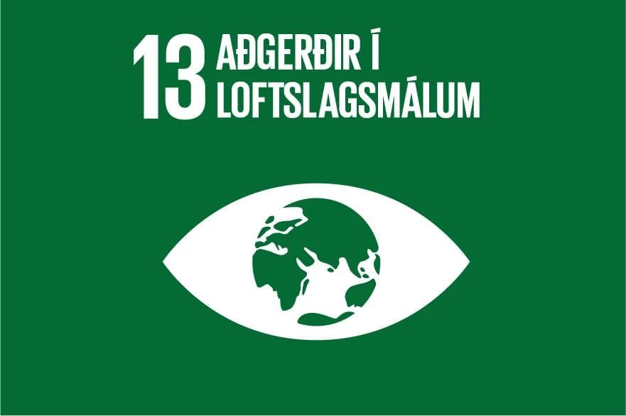 Aðgerðir í loftslagsmálum